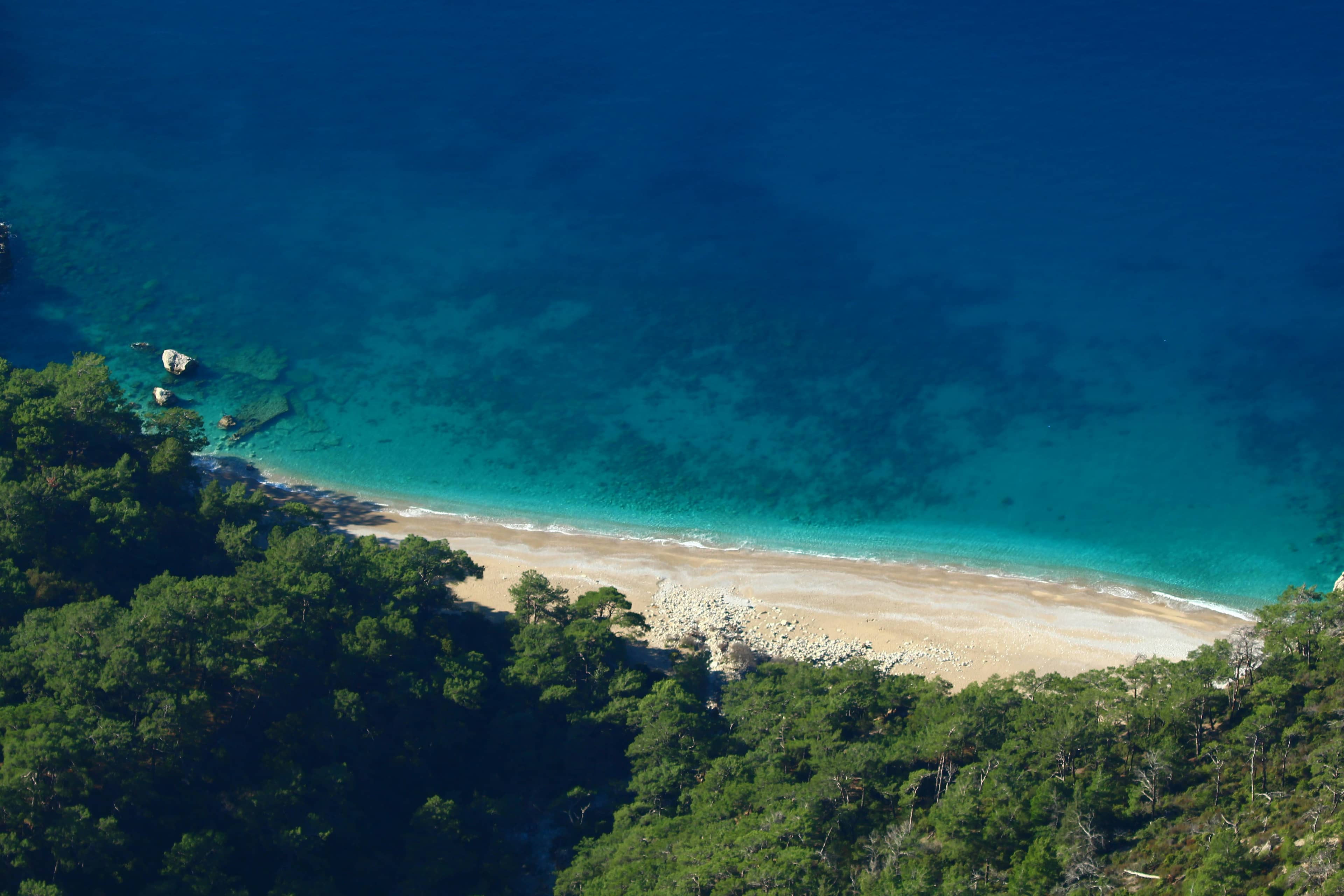 Call to action Banner