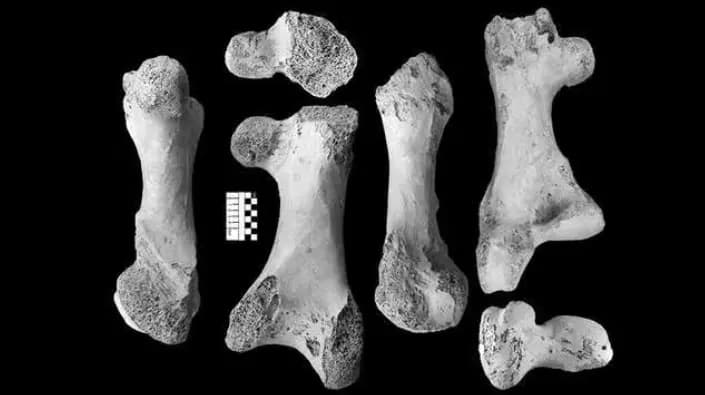 madagascar-peuple-depuis-10-500-ans