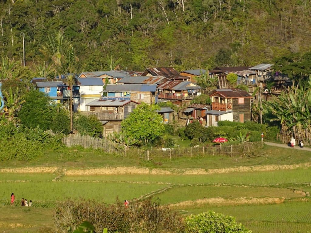 blog-image