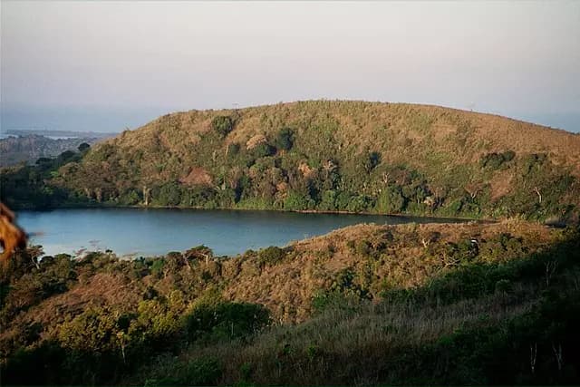 blog-image
